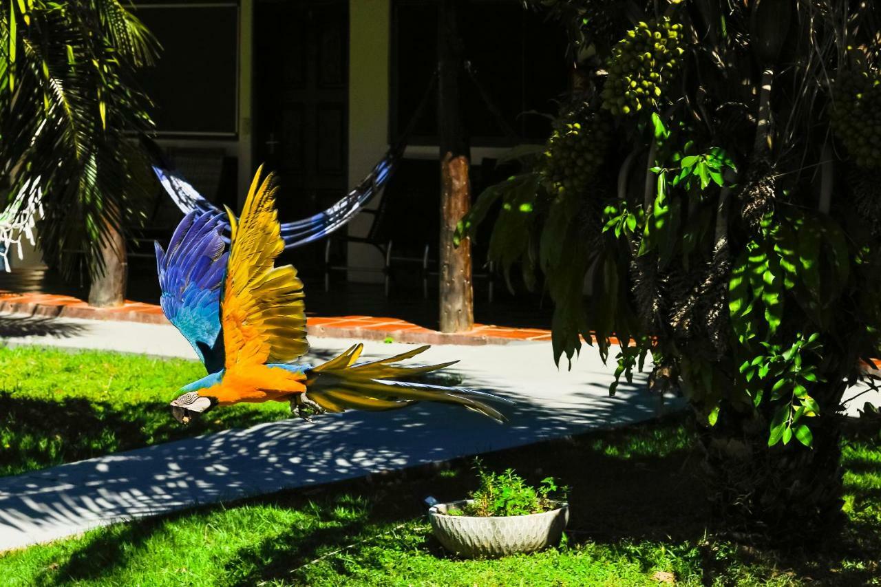 Pousada Piuval Poconé Εξωτερικό φωτογραφία